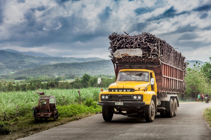 Bacolod sugar plantation